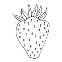 Strawberry hand drawn outline doodle icon. Vector sketch drawing of healthy berry - fresh raw strawberry for print, web, mobile and infographics isolated on white background.
