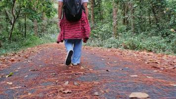 las viajeras disfrutan de la belleza de la naturaleza mirando los frondosos árboles del bosque tropical. mujer hipster con mochila caminando por una carretera en medio de la naturaleza. video