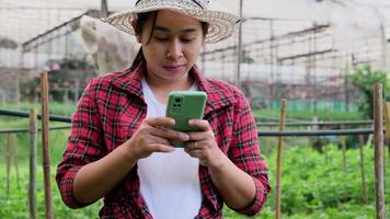 Aziatische tuinmanvrouw die smartphone gebruikt die goudsbloemzaailingen in landbouwtuin inspecteert. modern landbouwconcept. video