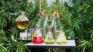 een kit voor plantinspectie en kwaliteitscontrole van cannabisplanten in een hennepkwekerij. hennepzaden en cbd-oliën liggen op tafel. cannabis farmaceutisch gezondheidszorgconcept. video