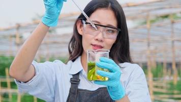 wetenschappers onderzoeken hennepplanten die worden gebruikt om alternatieve kruidengeneesmiddelen en cbd-olie te produceren. onderzoekers controleren planten en controleren de kwaliteit van legaal gekweekte cannabisplanten voor medicinale doeleinden. video