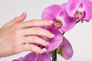 French manicure and orchid flower photo