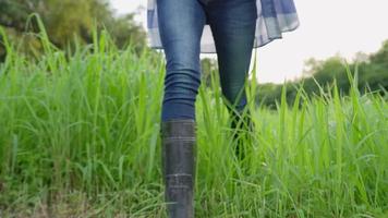 landbouwarbeider draagt jeans en laarzen die overdag op open grasland lopen, stallandbouw, zwaar werk op het platteland, veiligheidsschoenen voor bescherming, vrouwelijke tuinman loopt door akkerland video