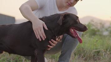 Young casual asian man encouraging on his Labrador retriever while resting on roadside with a view of natural mountain ranges and green summer grass behind, walking dog inside park, relaxing exercise video