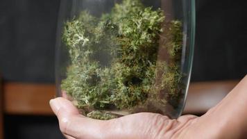 un primer plano extremo de hierbas curadas secas dentro de un frasco de almacenamiento de conservas de vidrio sellado reutilizable con la palma de una persona anónima, un recipiente de vidrio transparente, alimentos de larga vida útil, especias tropicales secretas video