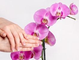 French manicure and orchid flower