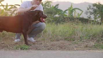 un vínculo entre el concepto de mascota y propietario, un joven adulto frotando suavemente a su perro de cabeza a espalda, mientras se sienta en la calle, con vistas a los árboles de montaña y al prado verde, relación amorosa con el propietario video