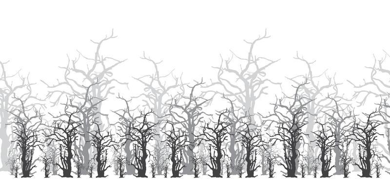 Silhouette of a big dead tree in the forest