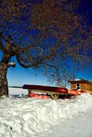 frozen canoes waiting for spring photo