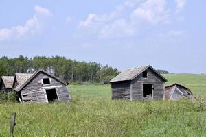 abandoned farm buildings slowly collapse in a field photo