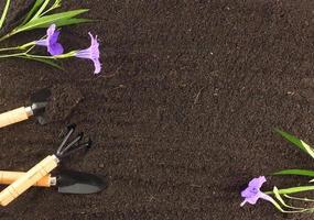 Top view of gardening tools and beautiful flower on soil. Agriculture background concept with copy space. World envionment day background. photo