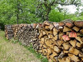 A beautiful view of piles of chopped firewood photo