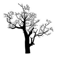 silueta de árbol sobre fondo blanco vector