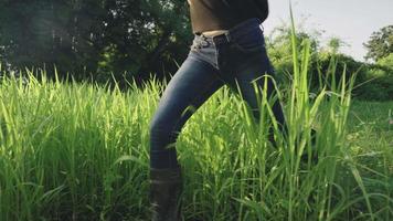 Female farm worker in boots and jeans walking inside crop grass field, organic farming agriculture industrial, harvesting season, Farm harvest. Farmer checks crop, high grass lawn, natural resources video