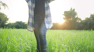 piedi di una contadina con stivali neri che camminano attentamente su un campo in erba alta contro la luce del sole dietro, parte inferiore del corpo femminile con stivali di gomma che camminano, escursione con la bellissima natura verde sullo sfondo video