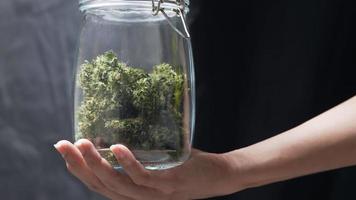 Low angle shot of a female hands holding a transparent jar with a dried herbs inside, a smell locked lid technology, smell keeping and locked, long shelf life food maintenance,  dry and cure plant video