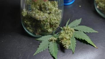 Nahaufnahme der Hände, die versuchen, ein versiegeltes Deckelglas mit getrockneten Cannabisknospen in hausgemachten Bio-Produkten zu öffnen, Anstrengung und Versagen, nachhaltiger Lebensstil, Behandlung mit alternativer medizinischer Chemie video