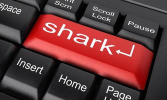 palabra tiburón en el botón rojo del teclado foto