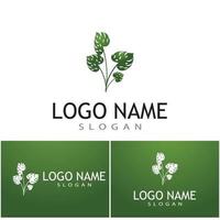 Monstera leaf logo vector design