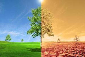 landscape with dry earth, Meadow Global warming concept. photo