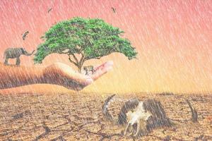 It rains in drought-stricken areas. concept of environmental and climate change photo