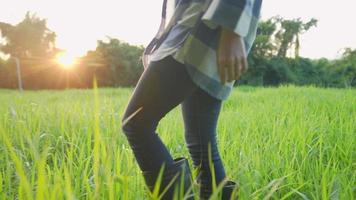 las agricultoras usan botas caminando dentro del campo de hierba de cultivo con luz de puesta de sol en el fondo, concepto de agricultura orgánica, temporada de cosecha, cosecha agrícola. agricultor revisa la cosecha, vista lateral video