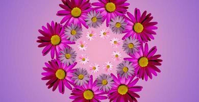 Mirror flower kaleidoscope. Purple, pink and white daisies. photo