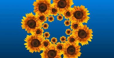 Mirror flower kaleidoscope. Yellow bright sunflowers on a blue background. photo