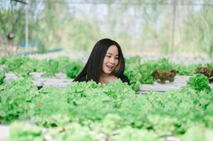 Woman with vegetable plot, hydroponics, Eat vegetables for a healthy body, strong and bright. photo