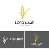 Agriculture wheat vector icon design