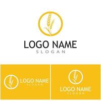 Agriculture wheat vector icon design