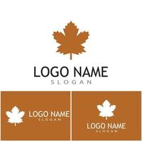 Maple leaf vector illustration design template