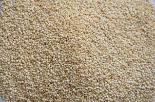 semilla de quinua para una nutrición saludable sobre un fondo blanco. foto de alta calidad