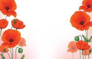 Watercolor Summer Floral  Red Poppy Flower vector