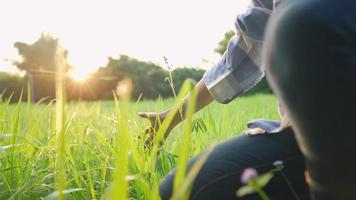 Female gardener sit down using right hand touching pass through the thick high grass with beautiful sunset rays in slow motion, earth day concept, sustainable nature love earth, fresh meadow scene video