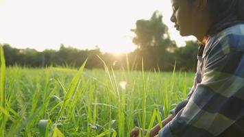 Erntezeit, junge asiatische Bäuerin setzt sich hin, gräbt die Ernte aus und zeigt der Kamera ihre Pflanzenwurzeln, nachhaltiger Bio-Garten, bei Sonnenuntergang goldene Stunde, grünes Grasfeld, video