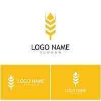 Agriculture wheat vector icon design