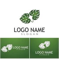 Monstera leaf logo vector design