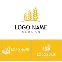 Agriculture wheat vector icon design