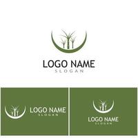 Sugar cane Logo Template vector symbol nature