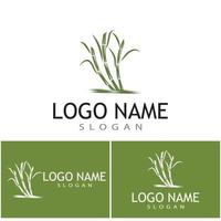 Sugar cane Logo Template vector symbol nature