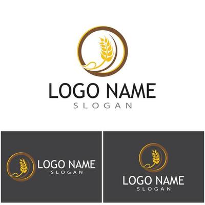 Agriculture wheat vector icon design