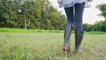 une agricultrice porte un jean bleu et des bottes de protection en caoutchouc marchant dans son champ vert agricole, début de la saison de croissance, terres agricoles agricoles en abondance, vue arrière au ralenti chaud à faible angle