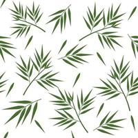 patrón de hojas de bambú, ilustración vectorial de color