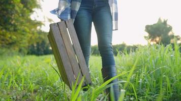 jovem dona de celeiro em botas de borracha protetora andando contra uma vibração do sol e carregando uma caixa de madeira de colheita pesada ao longo de um campo de grama verde fresca, plantação orgânica em casa, fêmea agrícola
