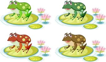 Cute frog on lily pad on white background vector