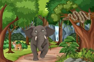 Wild animals in the forest scene vector