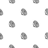 Seamless pattern lemon half engraving. Vintage background of citrus fruits in hand drawn style. vector