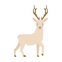 ilustración de ciervos linda ilustración vectorial de renos, aislamiento en fondo blanco. diseño de animales salvajes del bosque para niños vector