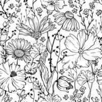 Floral seamless pattern with line flowers on white background. Botanical vintage background. Flowers in bloom vector